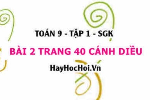 Bài 2 trang 40 Toán 9 tập 1 Cánh Diều